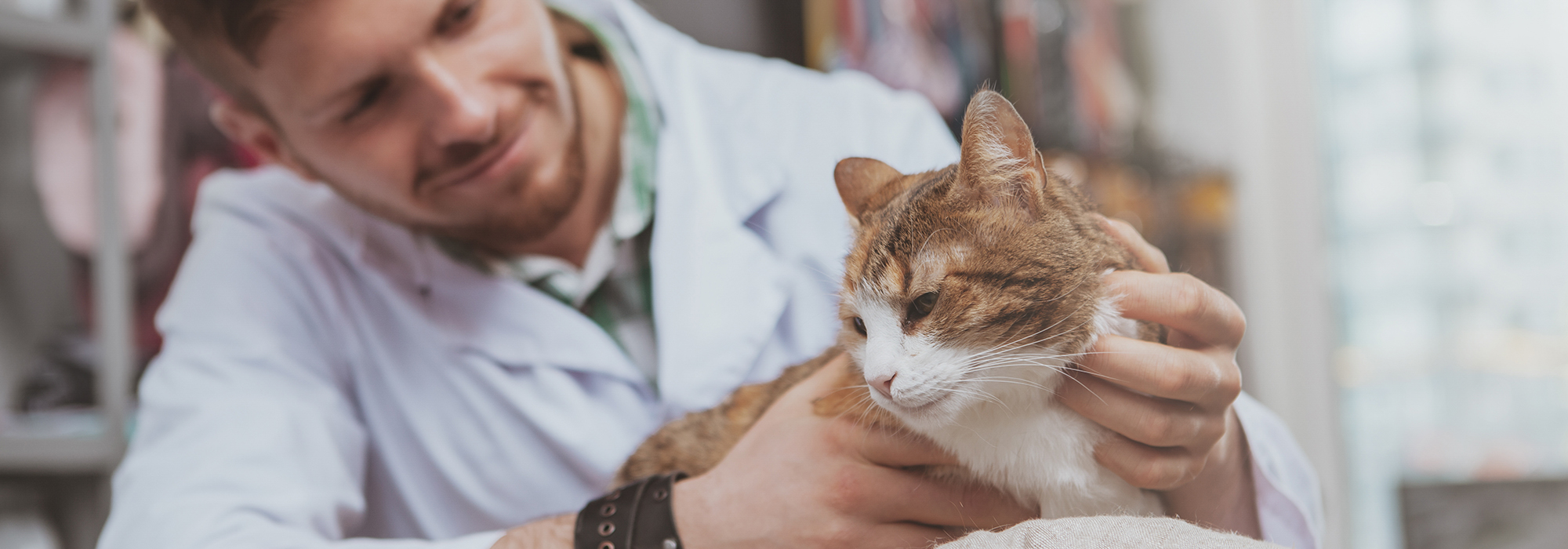 Veterinary Surgeon and a cat