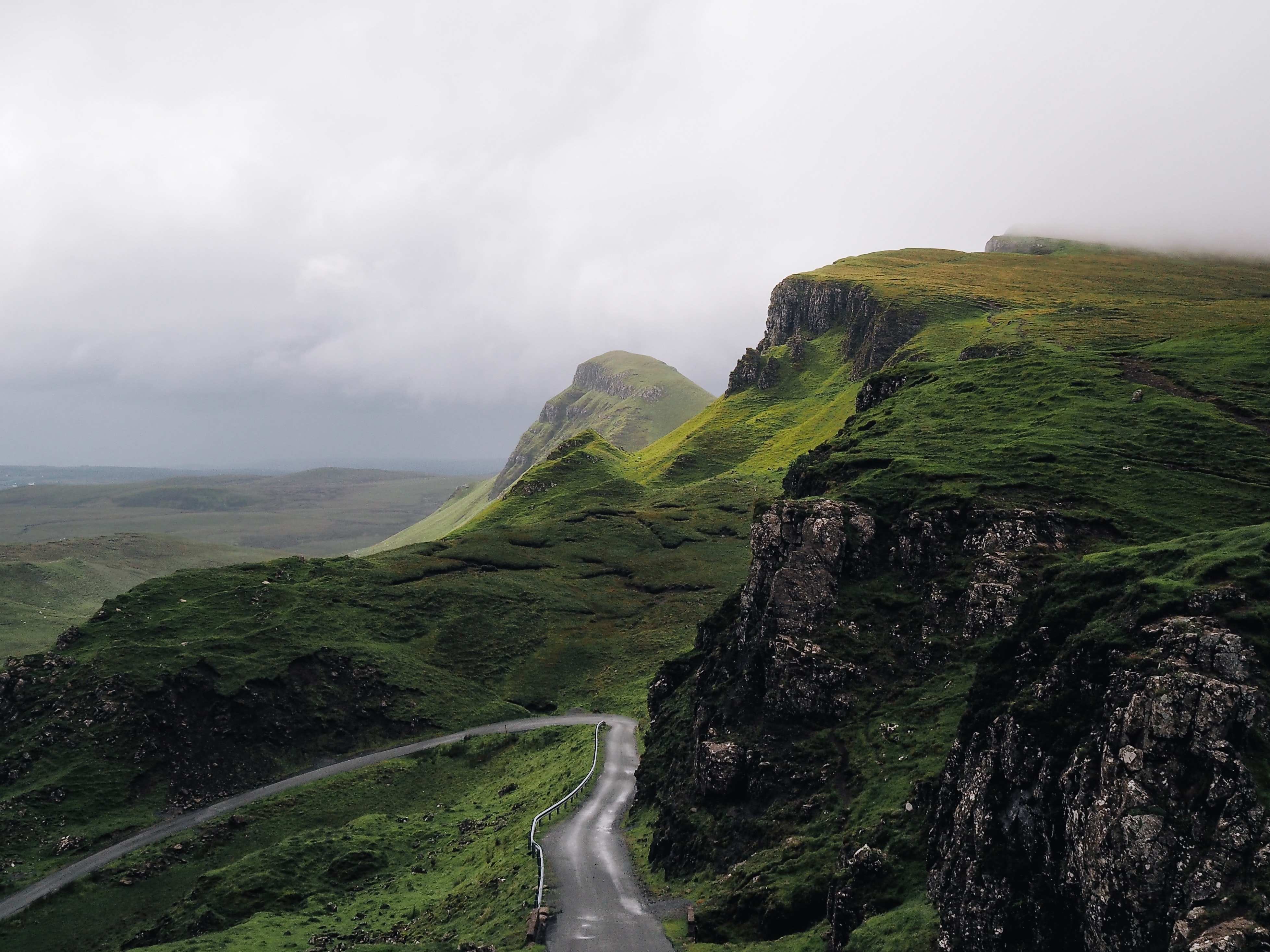 Working in Ireland as a Veterinary Surgeon