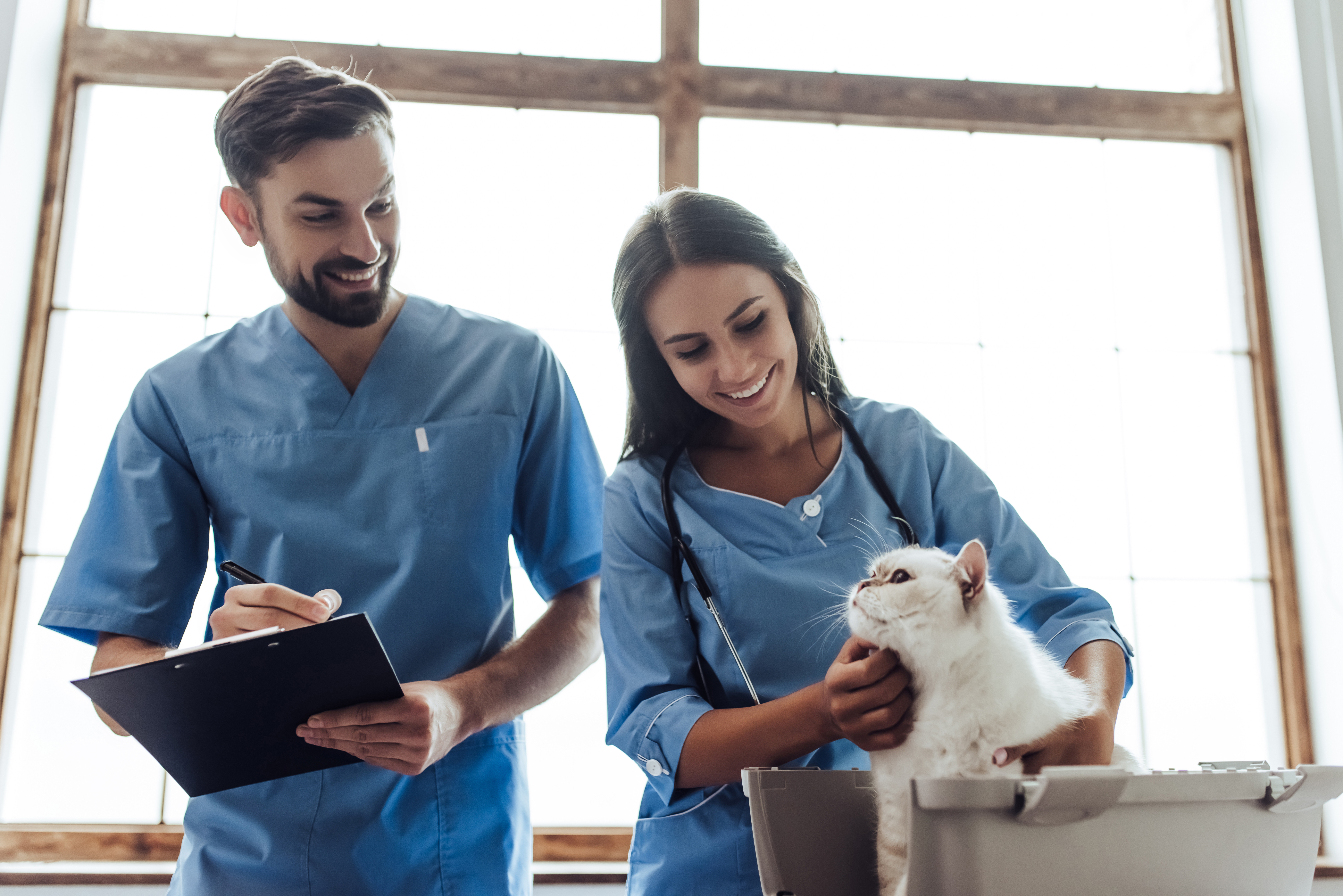 Supporting Veterinary Professionals' Mental Health on World Mental Health Day