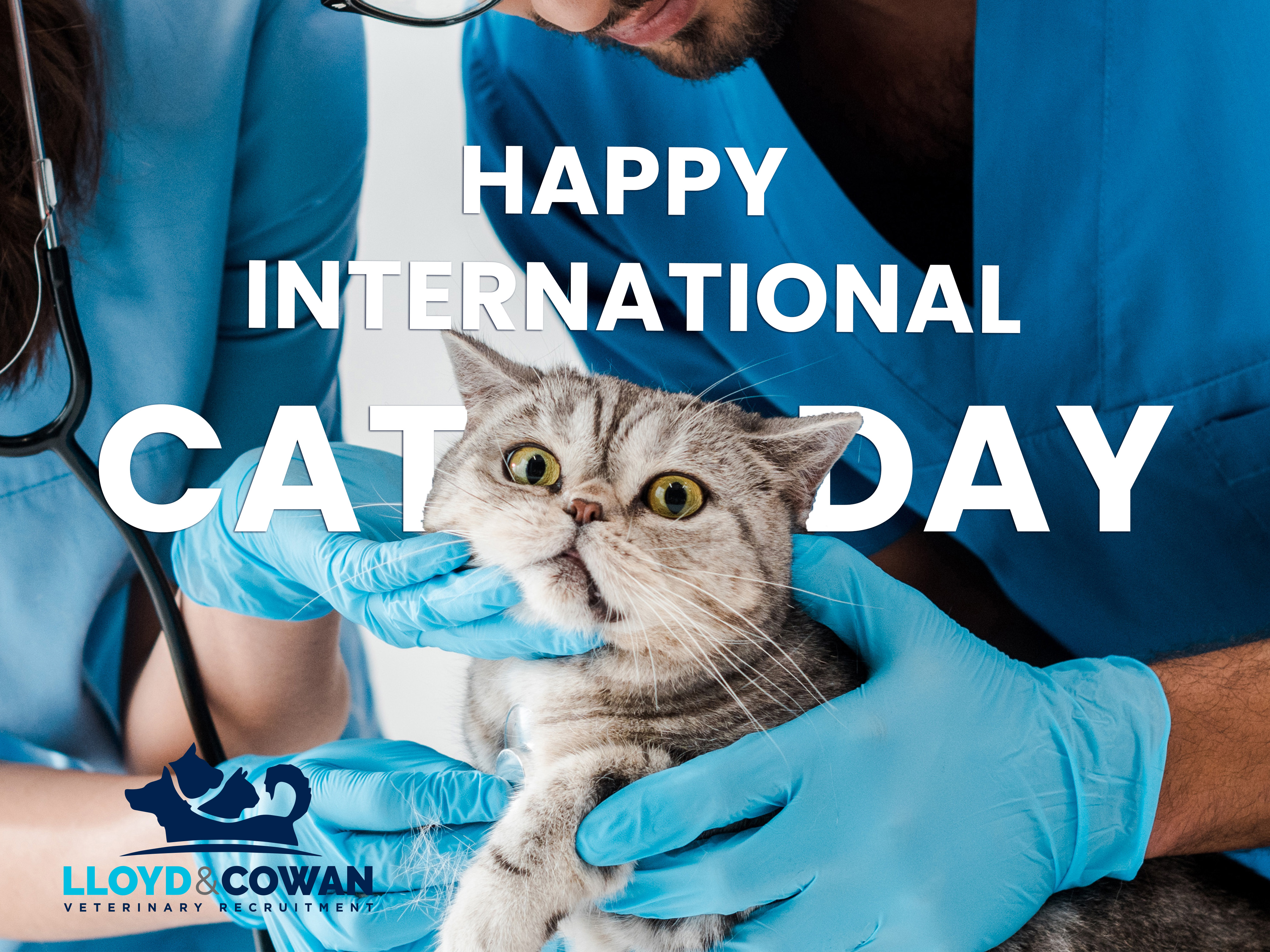 ​Celebrate International Cat Day: A Purrfect Tribute to Our Feline Companions!