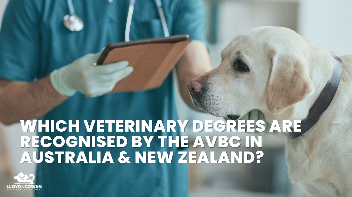 Which Veterinary Degrees Are Recognised by the AVBC in Australia and New Zealand?