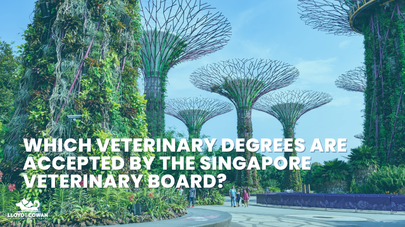 Which Veterinary Degrees Are Accepted by the Singapore Veterinary Board?