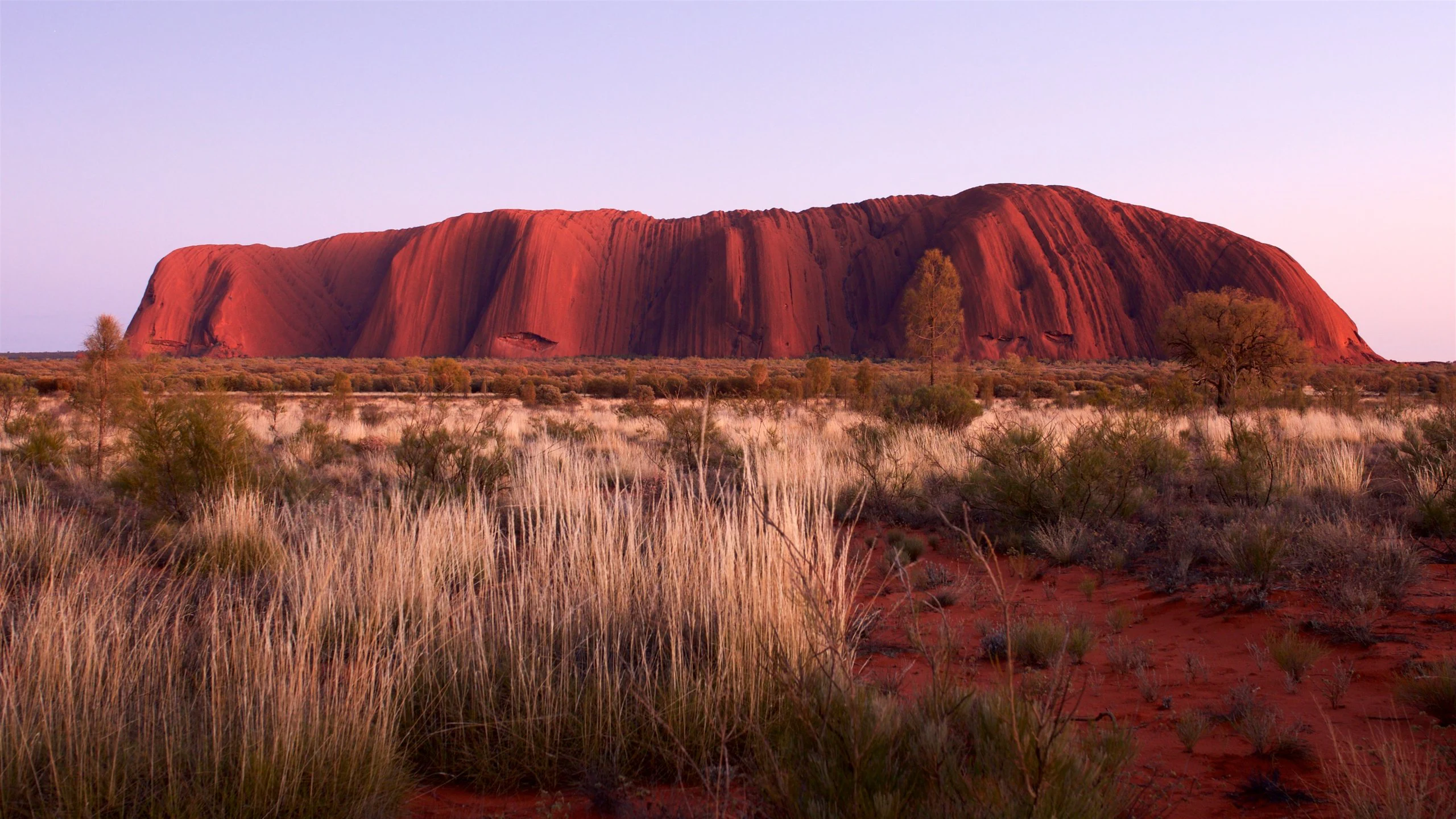 ​Thinking About Moving to Australia as a Vet? Start Here!